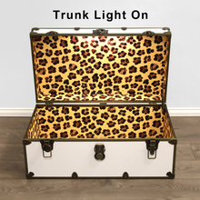 Load image into Gallery viewer, Interior Lighting